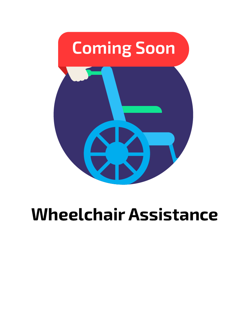 wheelcair