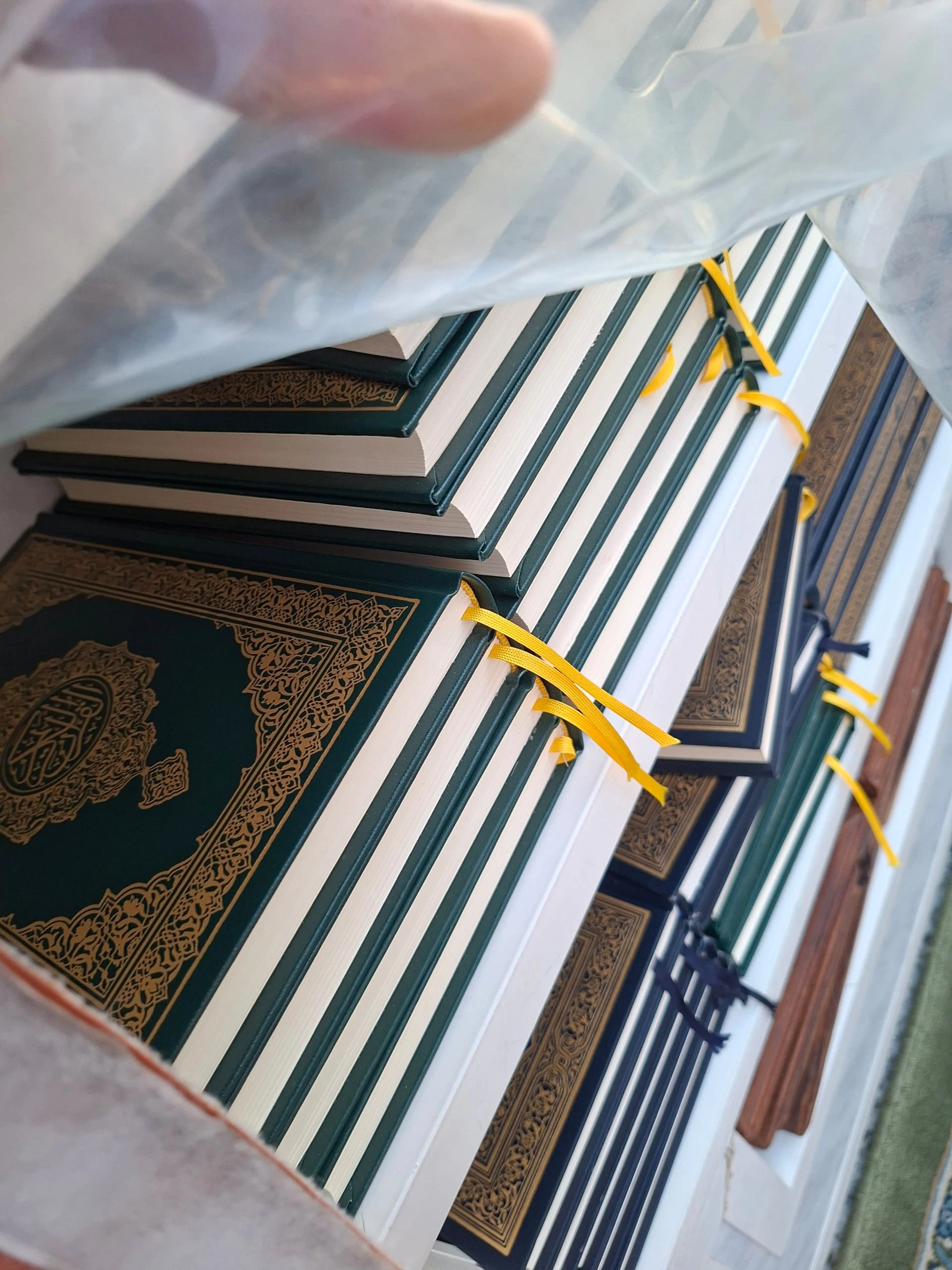 WhatsApp Image 2026-02-13 at 22.54.26 (1)